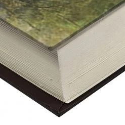 0.02 cu. ft. Steel Real Paper Book Lock Box Safe with Key Lock by BARSKA -Empire Sales Store barska hidden safes ax11682 4f 1000